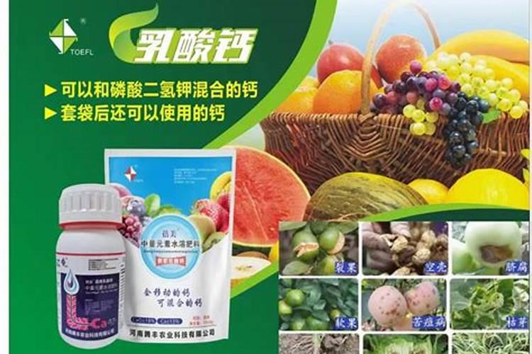 植树肥料多少钱一斤