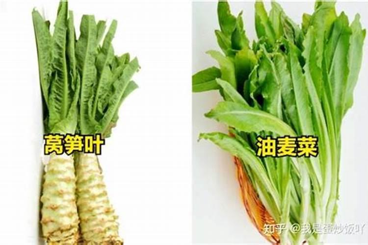 莴苣处于膨大期,这个时期要补氮钾肥吗？