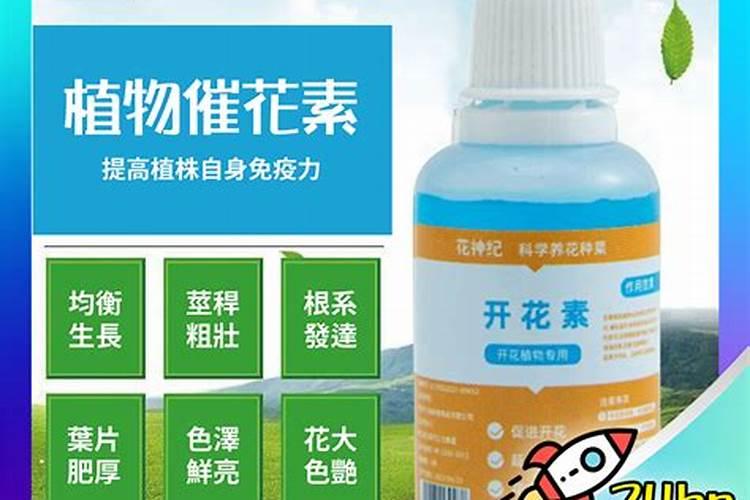 花卉叶面肥使用方法 叶面肥喷叶子正面还是背面