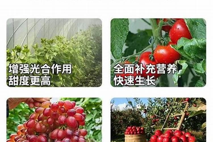 复合氨基酸肥产品特点