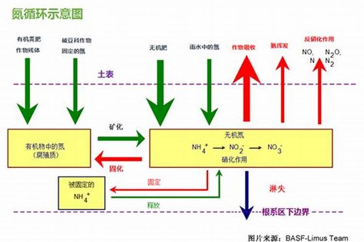 求雷雨制造氮肥的过程