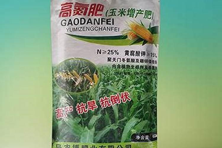刚移栽的花需要浇水吗
