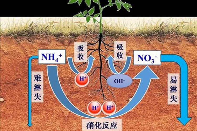 云天化磷肥一吨多少钱 云天化磷肥有什么作用