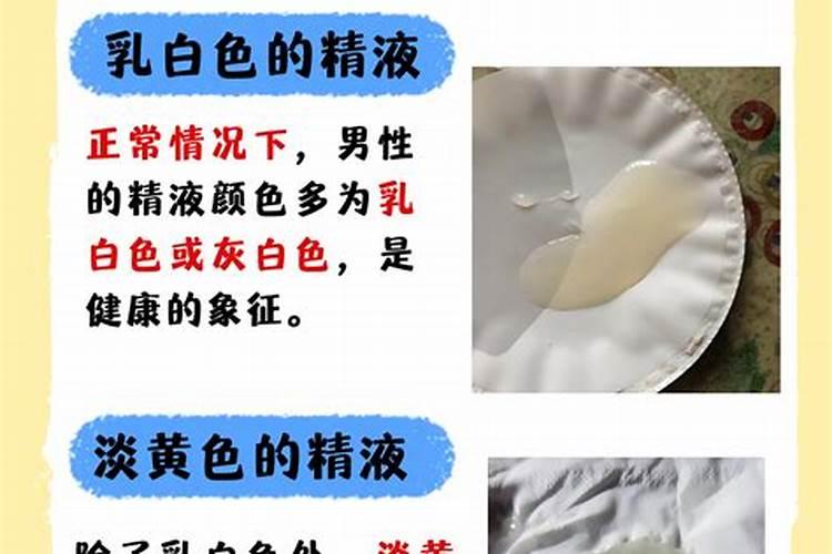 鱼白是什么部位 关于鱼白的介绍