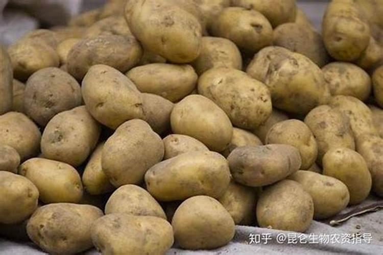 土豆出苗后多久施肥 土豆出苗后如何施肥