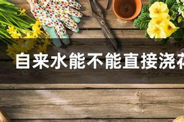 硝态氮冲施肥能不能在麦田使用