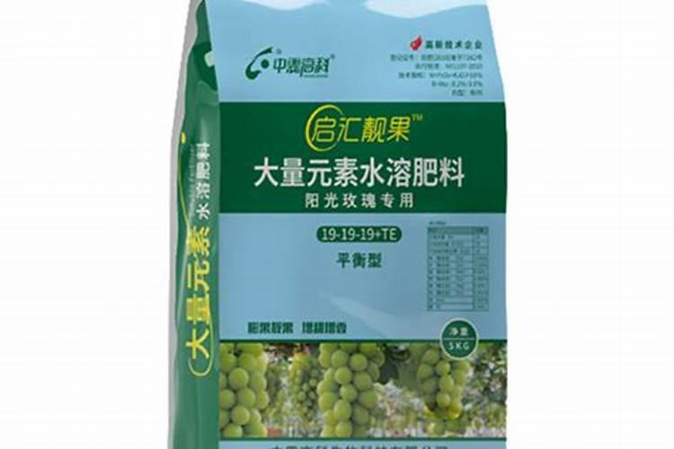 阳光玫瑰葡萄怎么种植