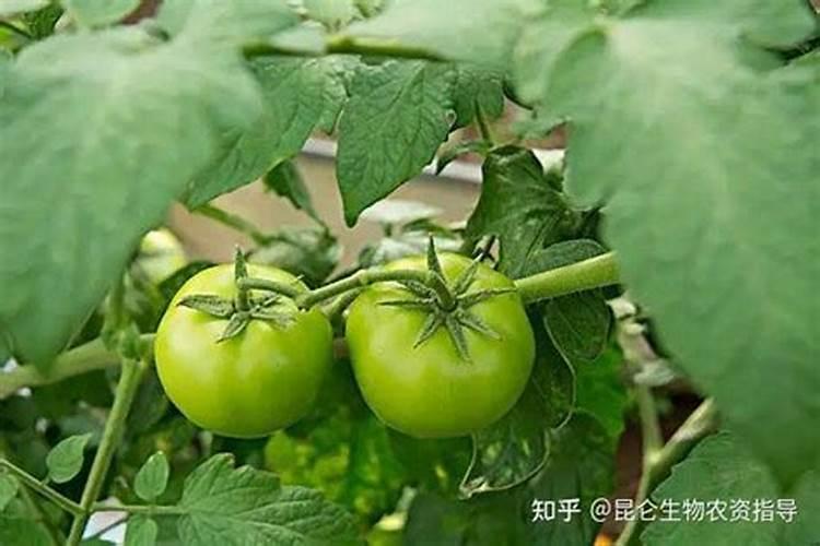 铵态氮肥加稀盐酸有刺激性气味吗