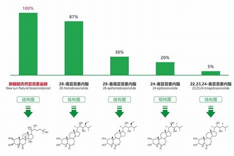 代替氧化锌功能性单体的是