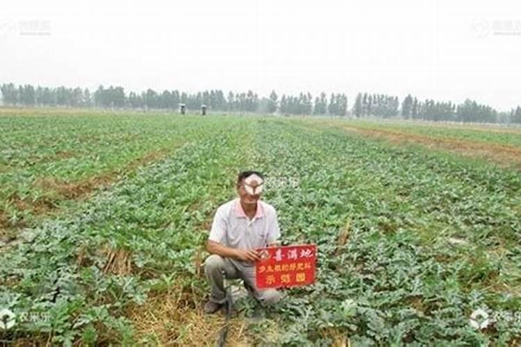 过电压保护器是否代替氧化锌避雷器？