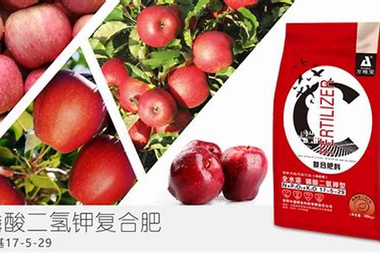 草莓要施什么肥料