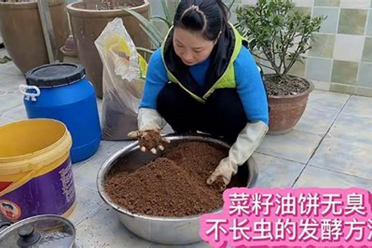 草莓在开花的时候施什么肥料