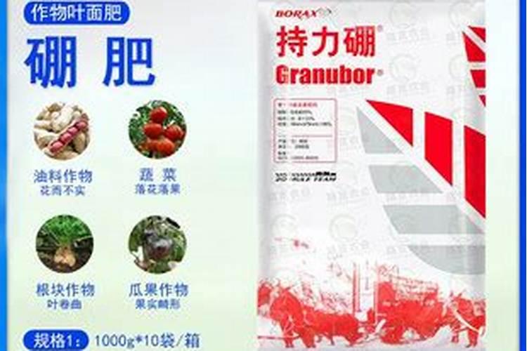 果树硼肥啥时施最佳