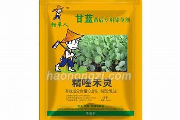 甘蓝叶班病怎么治？谢谢!