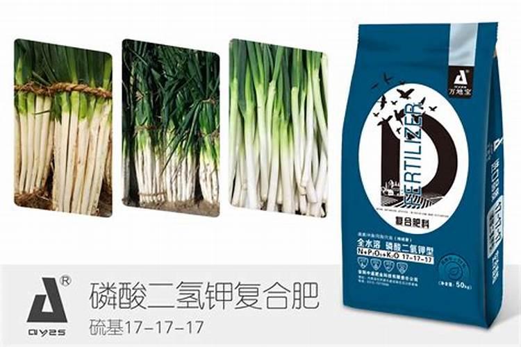 茶树种子催芽方法