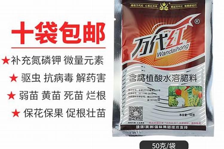 冬枣采摘期可以浇水吗