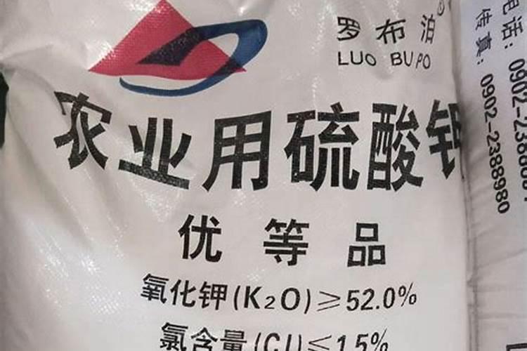 草莓的种植季节即将到来,使用硅肥做基底肥,会有什么样的功效？