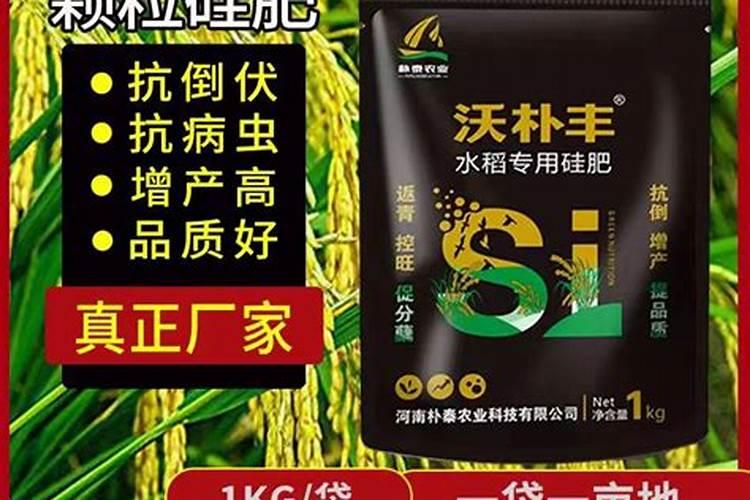葡萄糖可以浇多肉吗