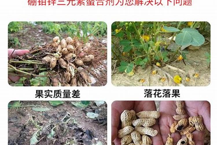 锌肥使用方法