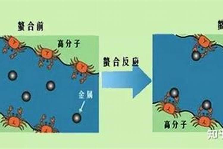 高氮肥料有哪些,用什么肥料黄瓜产量高