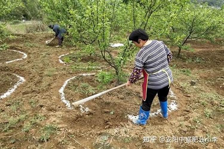 烟叶施肥方法和注意事项 烟叶施肥方法和注意事项是什么
