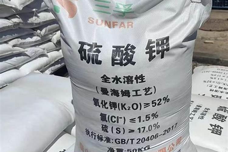 香瓜最佳的浇水时间 香瓜什么时候浇水好