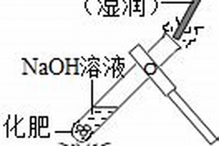 香瓜什么时候浇水好 香瓜最佳的浇水时间