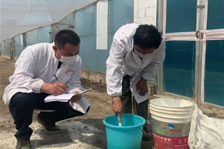 硝基肥料与其他肥料最大优势在哪里