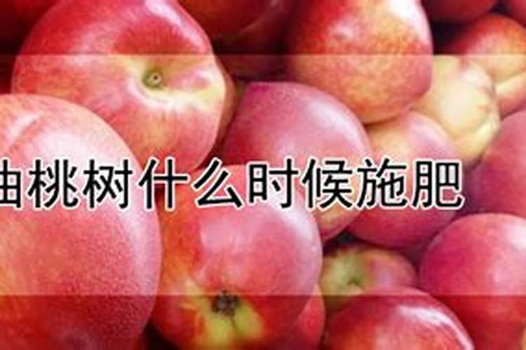 油桃怎么种植？