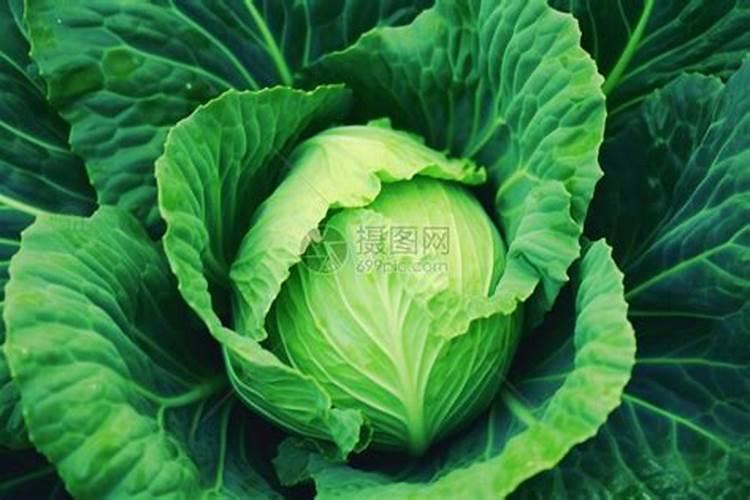 现在洗米的水要放几天才可以洗头？用淘米水洗头要用洗发露吗？,还泡泡...