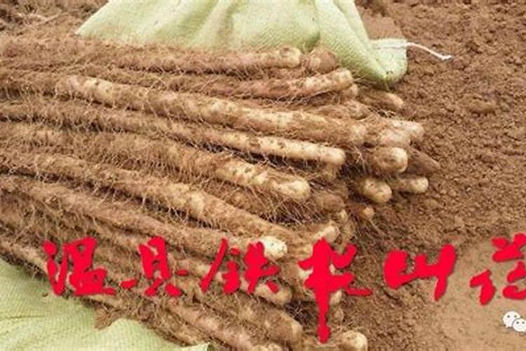 磷酸钙可以做肥料吗？