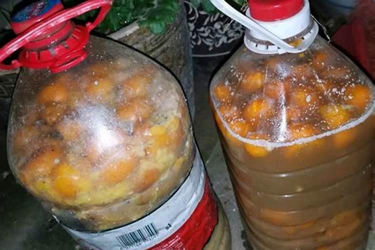霉烂桔子 能做肥料吗？