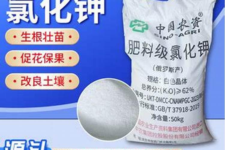 豇豆是忌氯作物吗