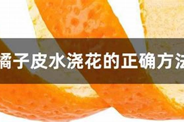 桔子皮泡水浇花适合哪些花