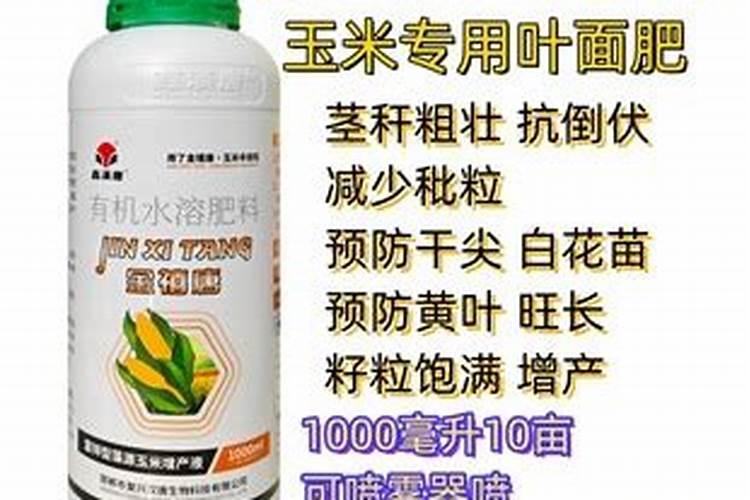 玉米如何使用叶面肥