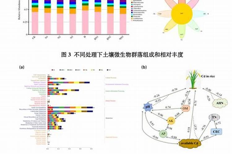 化肥对身体有什么危害