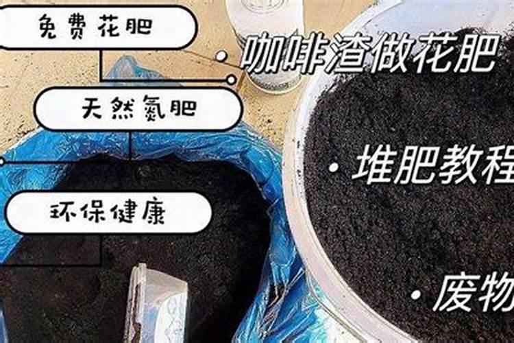 怎么给花补氮肥