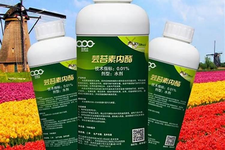 芸苔素内酯与胺鲜酯复配效果是什么？