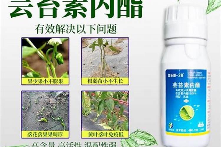 芸苔素28高和14羟基谁好