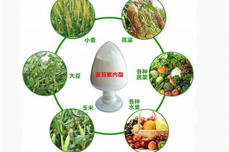 水稻什么时候用芸苔素好 使用方法及技巧
