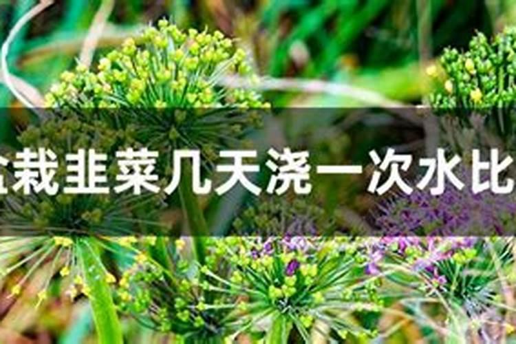 三才配置中的“金土土”是什么意思？