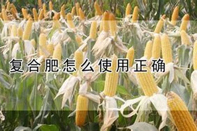 葡萄柚管理方法