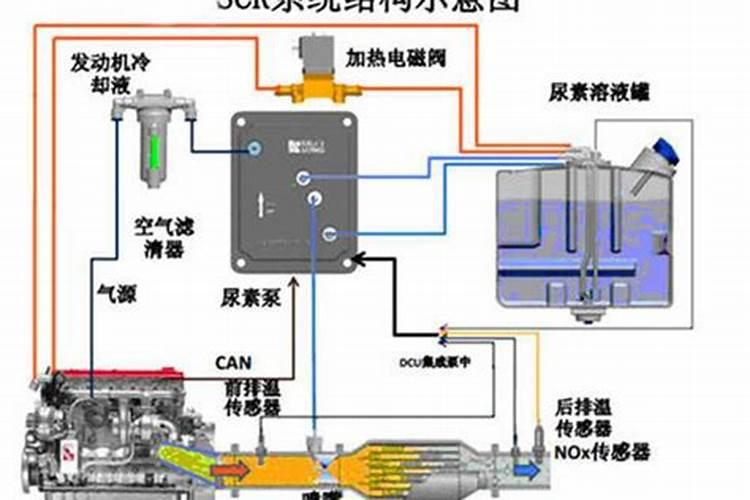柑橘膨果用什么肥料,柑橘膨果是什么时候