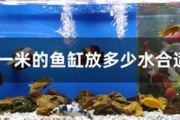 春季梨树嫩叶变黑枯萎