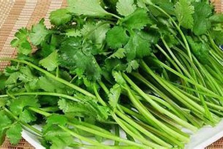 种淮山用什么肥料