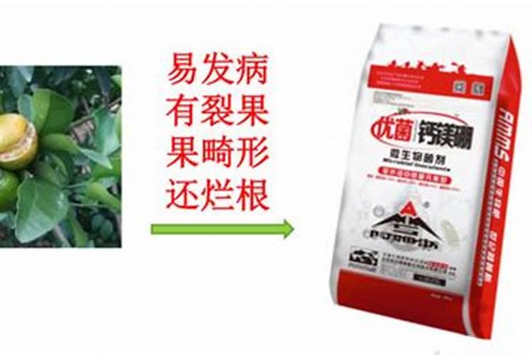 哪些土壤和作物容易缺镁