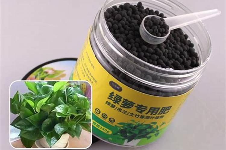 养花专用肥料养花专用肥料有哪些