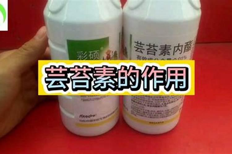 芸苔素多久喷一次,什么时候不能喷,什么情况下使用