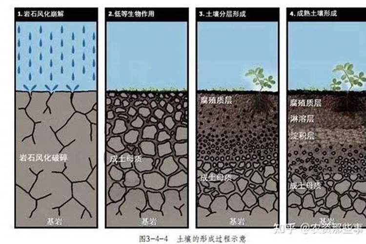 不同学者对原生白云岩存在的肯定