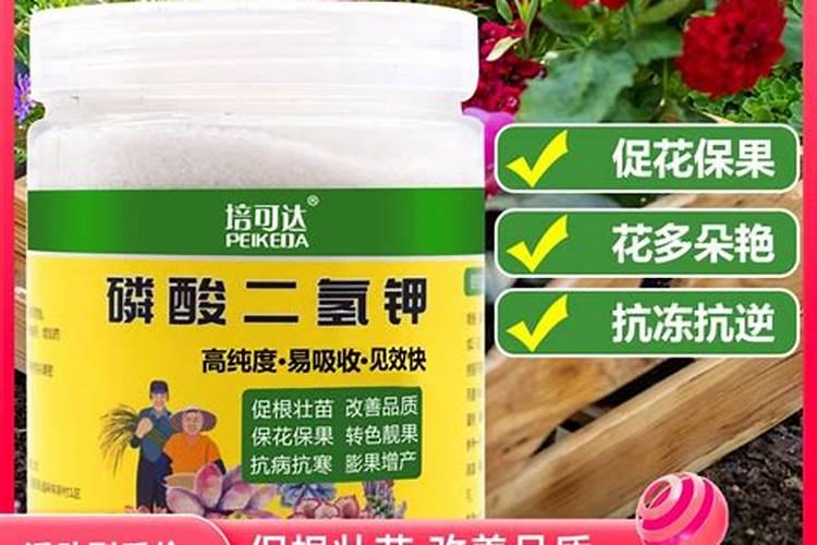 枣树用什么肥料好